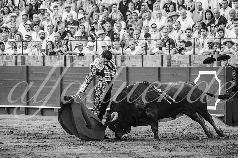 20260925 sevilla fd 014
