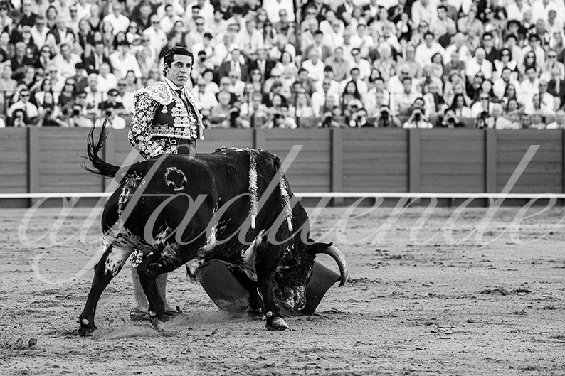20260925 sevilla fd 012