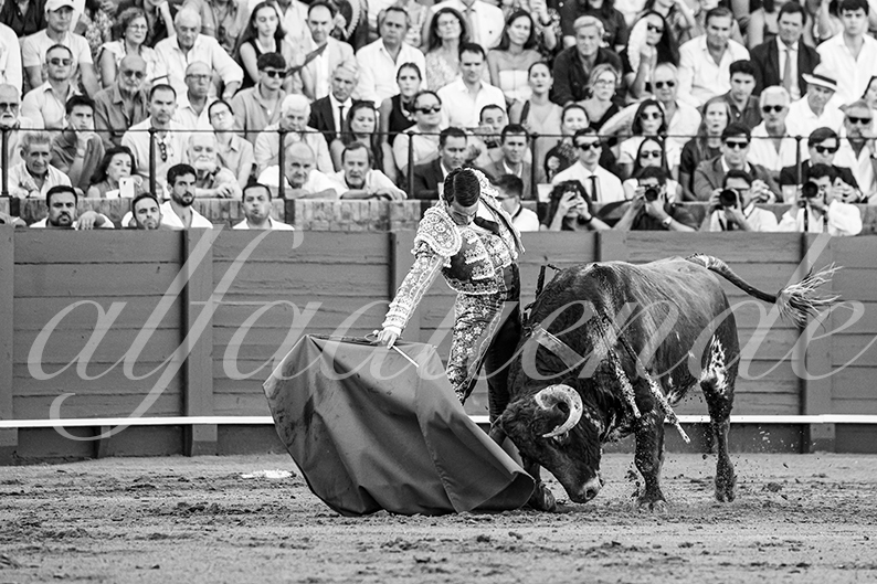 20260925 sevilla fd 009