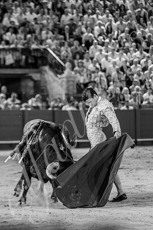 20260926 sevilla fd 040