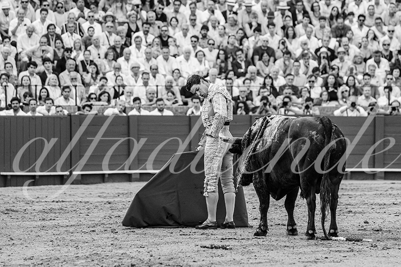 20260926 sevilla fd 032