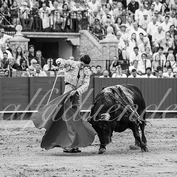 20260926 sevilla fd 030