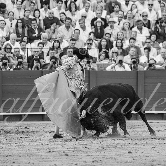 20260926 sevilla fd 027