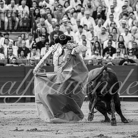 20260926 sevilla fd 024