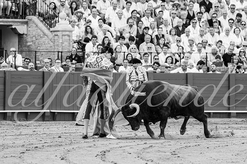 20260926 sevilla fd 018