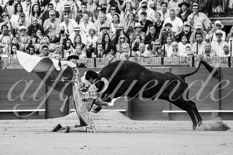 20260926 sevilla fd 013