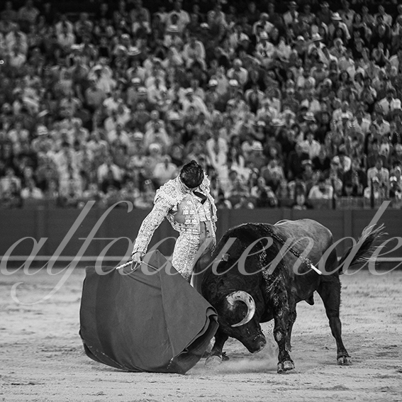 20260926 sevilla hd 039