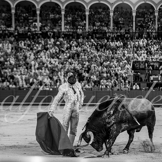 20260926 sevilla hd 038