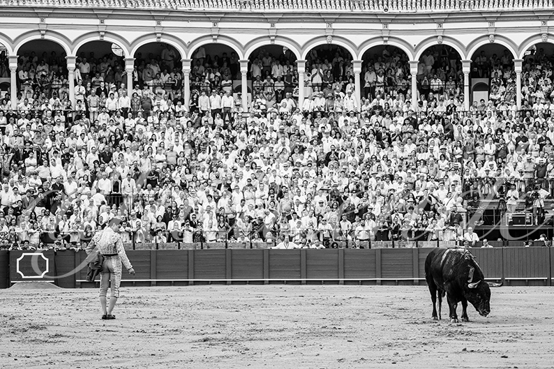 20260926 sevilla hd 037