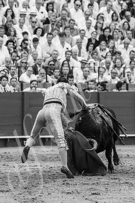 20260926 sevilla hd 036