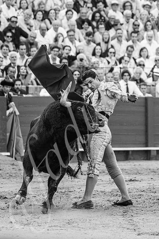 20260926 sevilla hd 034