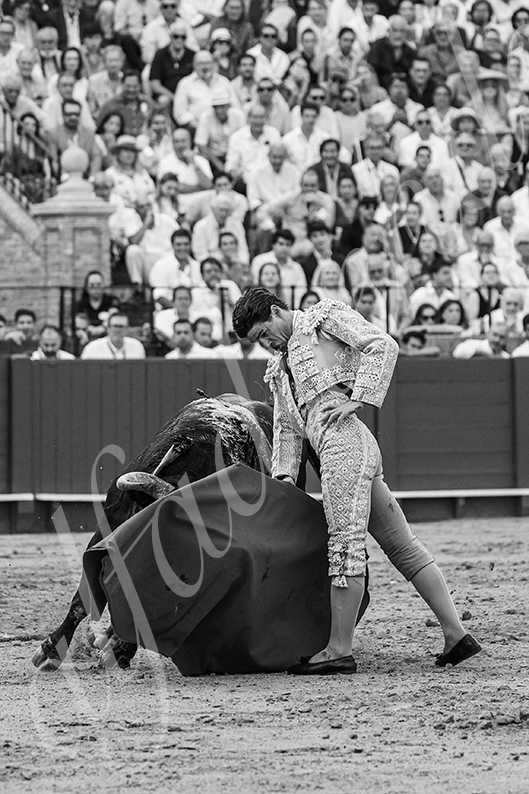 20260926 sevilla hd 033