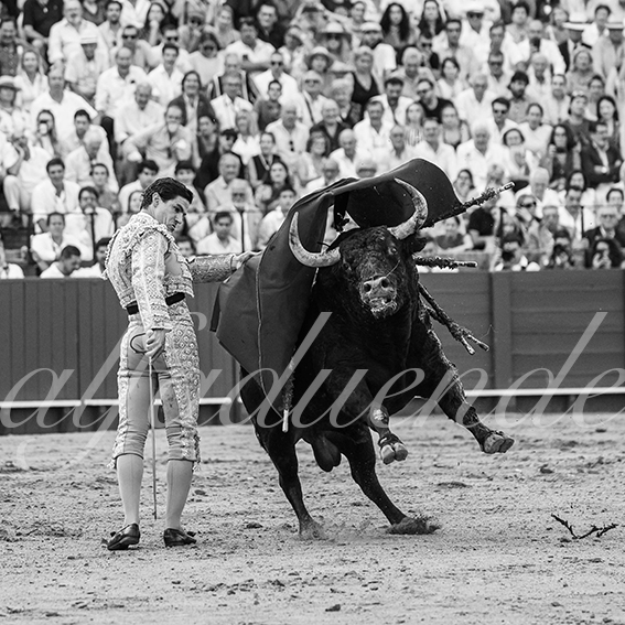 20260926 sevilla hd 031