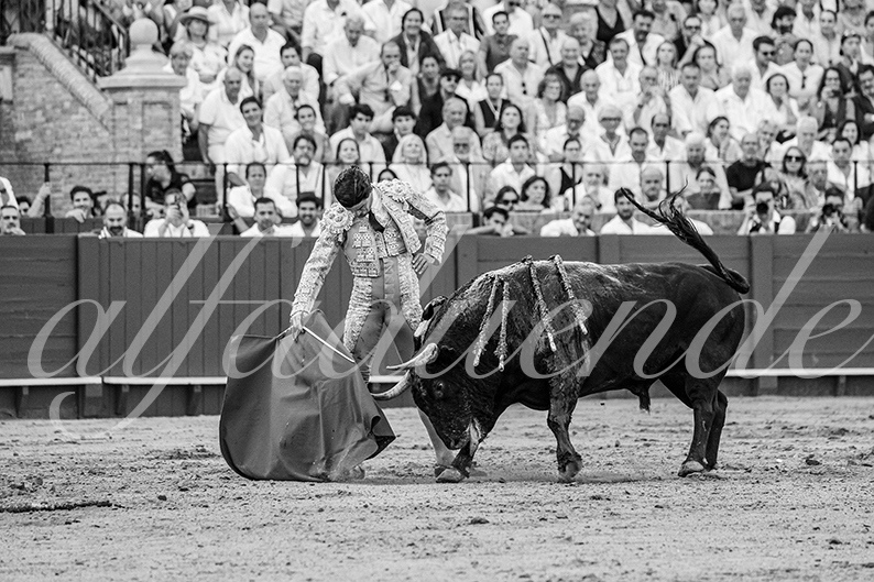 20260926 sevilla hd 029