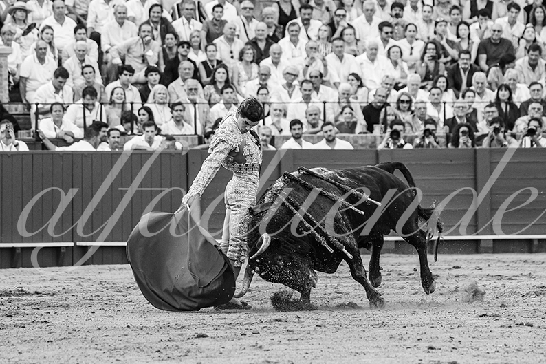 20260926 sevilla hd 028