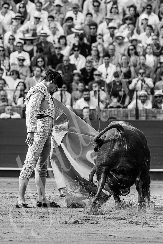 20260926 sevilla hd 026
