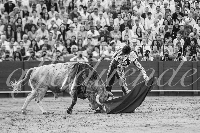 20260926 sevilla hd 024
