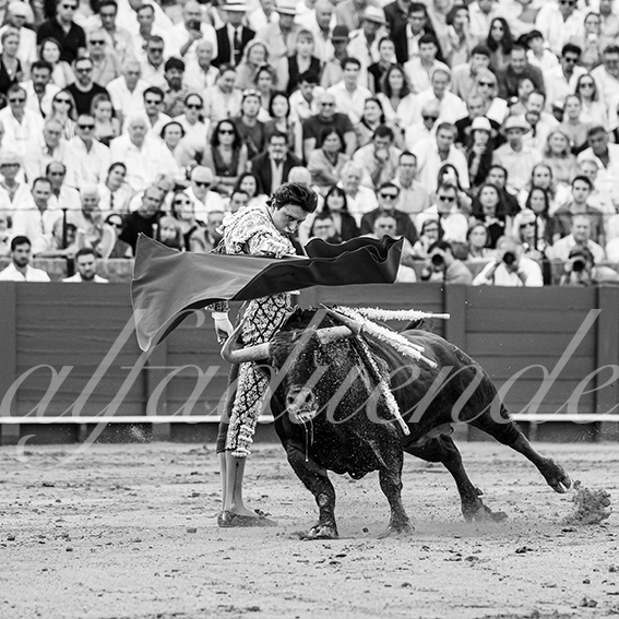 20260926 sevilla hd 020
