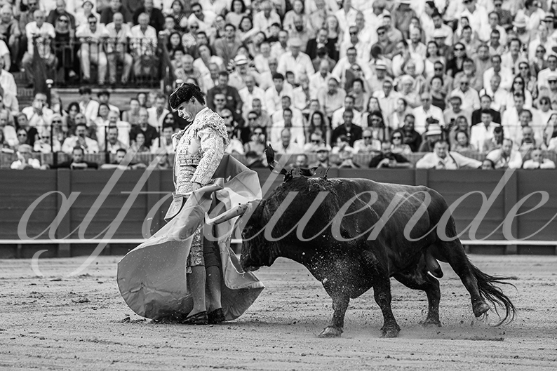 20260926 sevilla hd 019