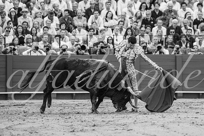 20260926 sevilla hd 016