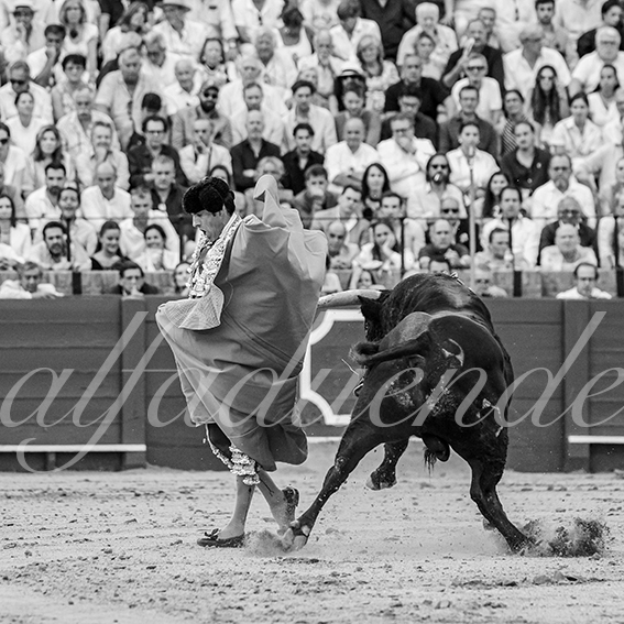 20260926 sevilla hd 015