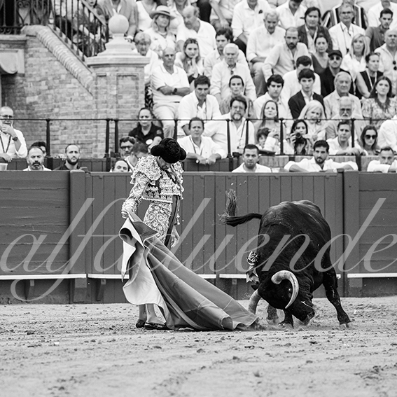 20260926 sevilla hd 014