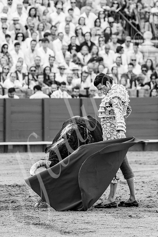 20260926 sevilla hd 012