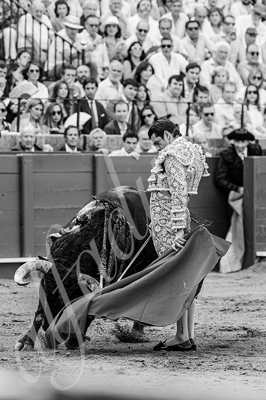 20260926 sevilla hd 011