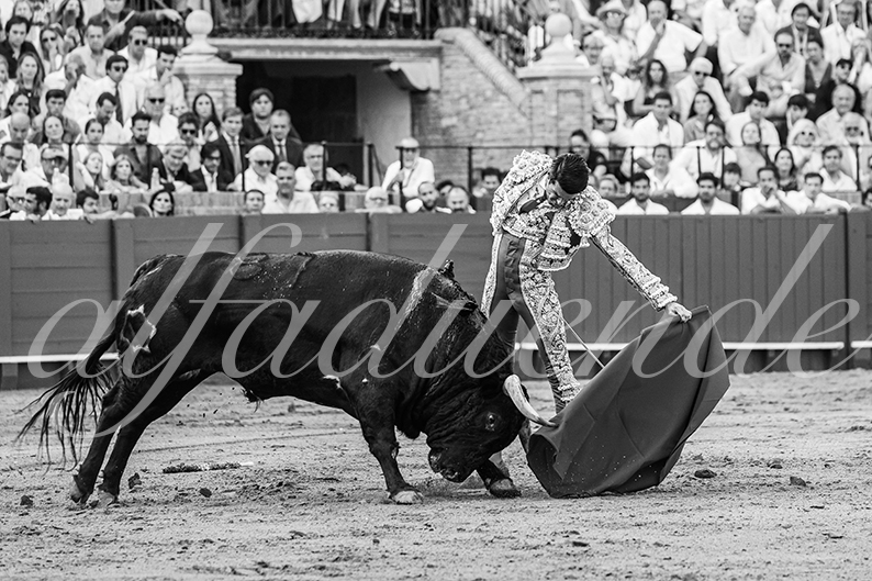 20260926 sevilla hd 010