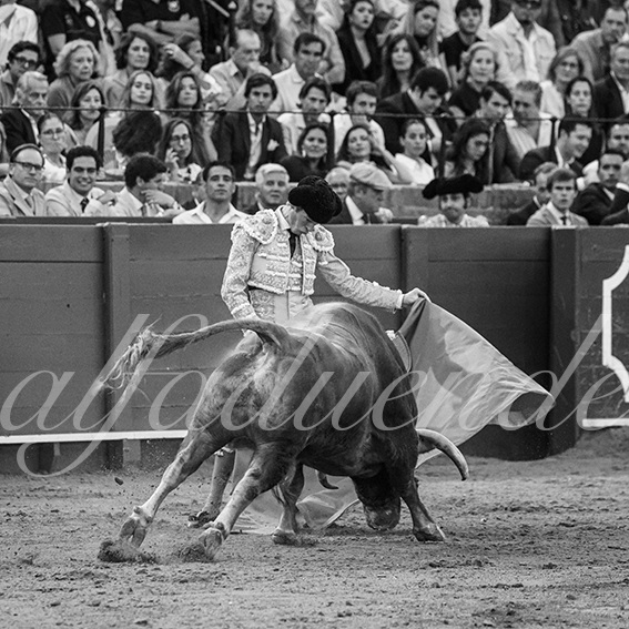 20260927 sevilla fd 020