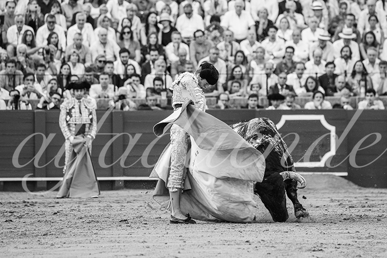 20260927 sevilla fd 018