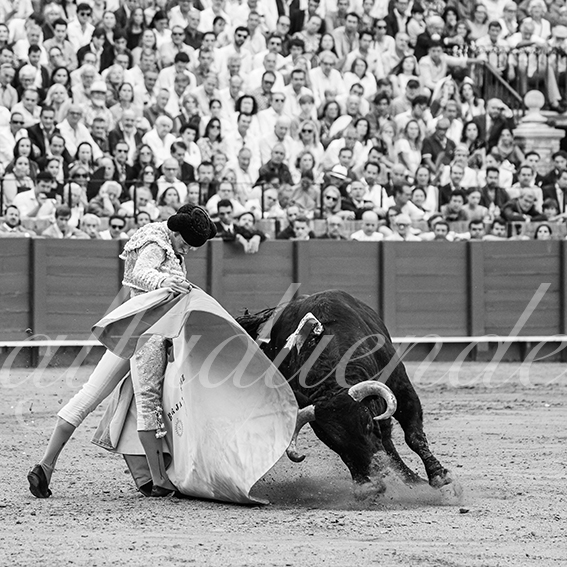 20260927 sevilla fd 017