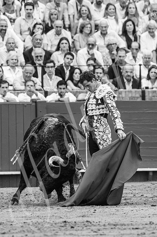 20260927 sevilla fd 013