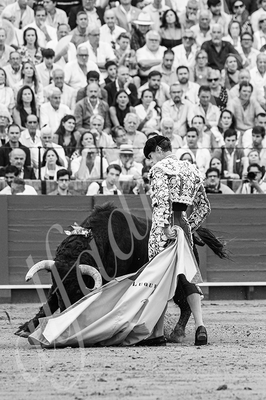 20260927 sevilla fd 010