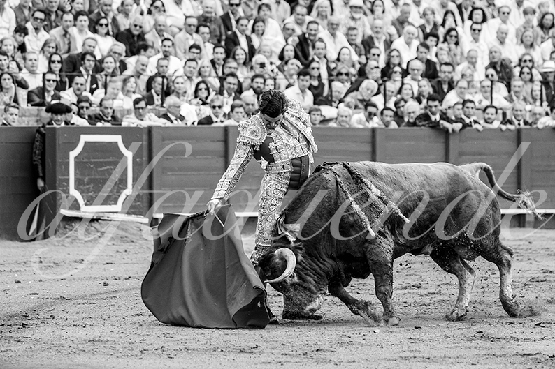 20260927 sevilla fd 007