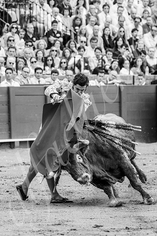 20260927 sevilla fd 004