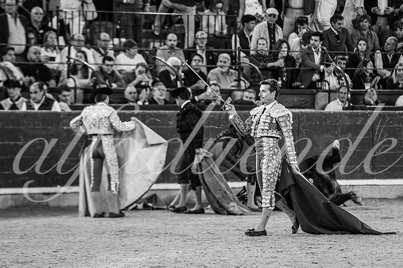 20261017 zaragoza fd 027