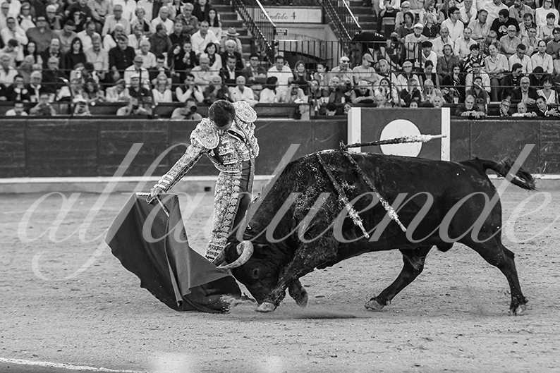 20261017 zaragoza fd 026