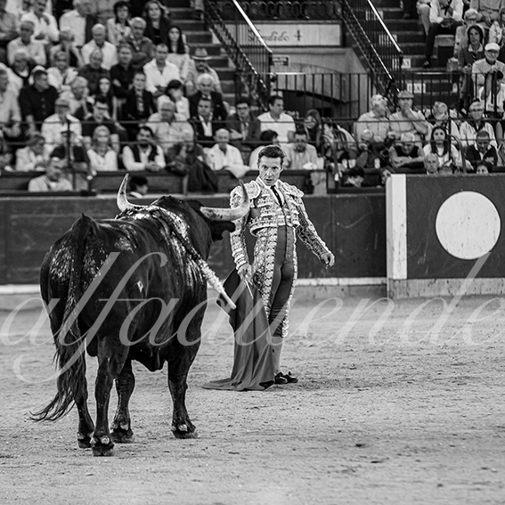 20261017 zaragoza fd 025