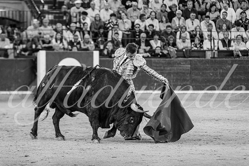 20261017 zaragoza fd 024