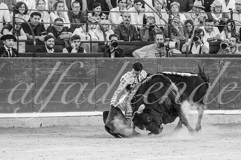 20261017 zaragoza fd 023
