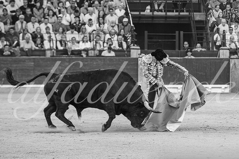20261017 zaragoza fd 021