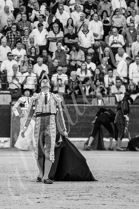 20261017 zaragoza fd 019