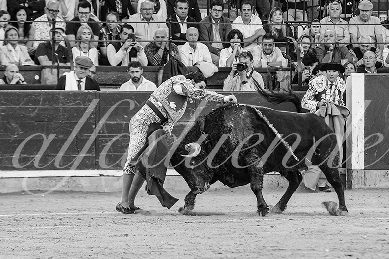 20261017 zaragoza fd 018