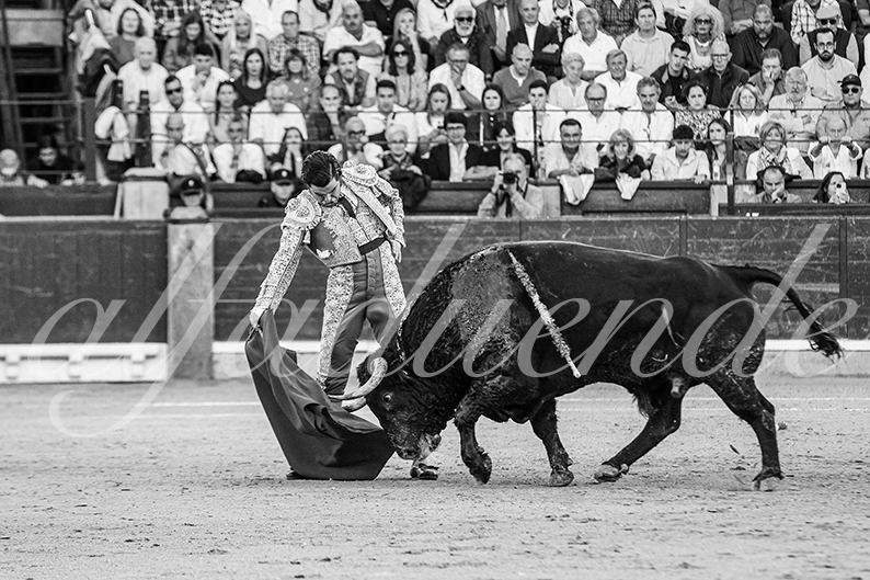20261017 zaragoza fd 017