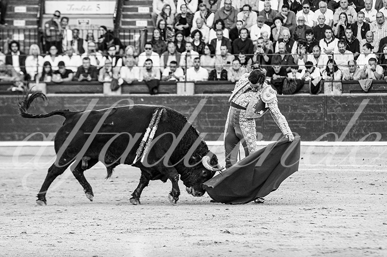 20261017 zaragoza fd 016