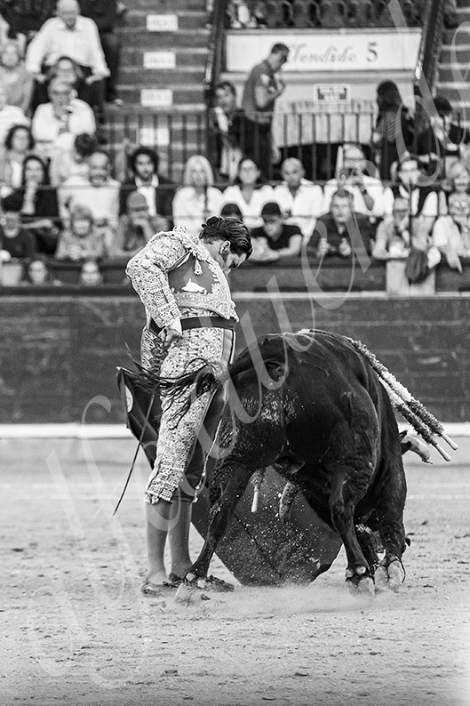 20261017 zaragoza fd 015