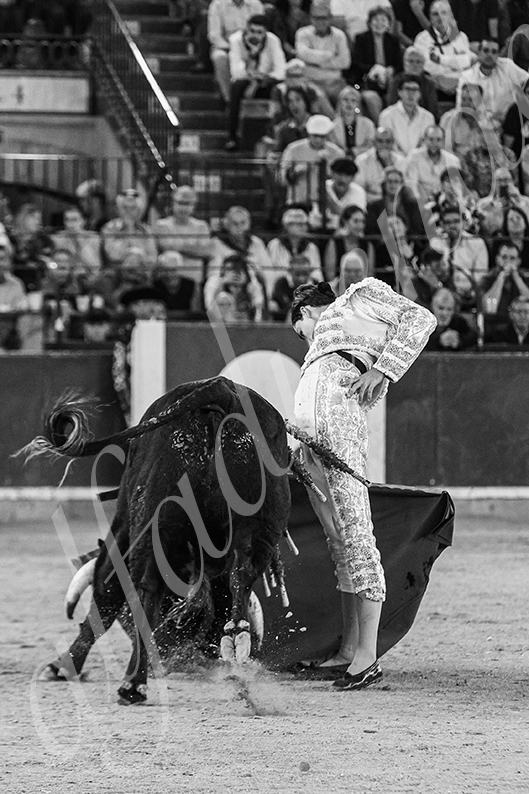 20261017 zaragoza fd 012