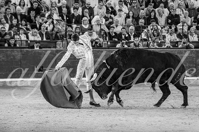 20261017 zaragoza fd 011