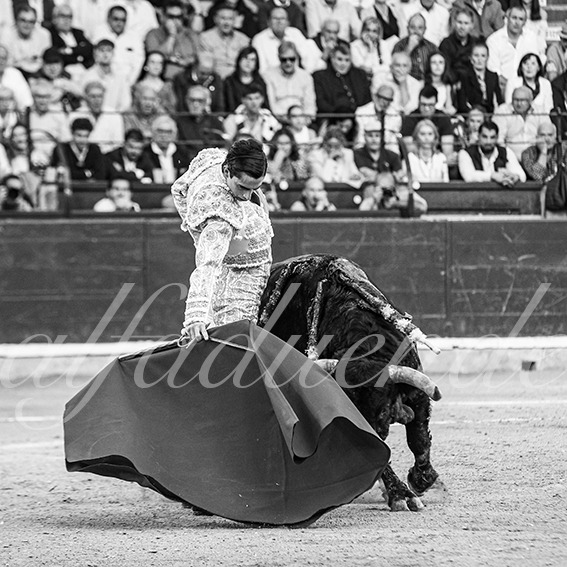 20261017 zaragoza fd 006